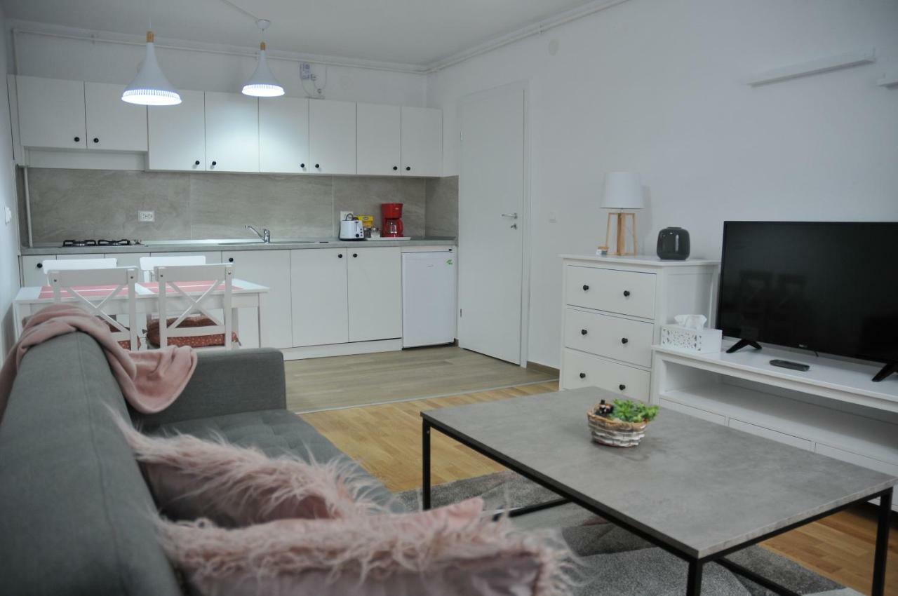 Ana Cristina Apartament Sighişoara Exteriör bild